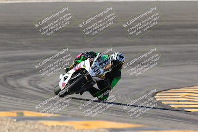 media/Jan-13-2024-SoCal Trackdays (Sat) [[9c032fe5aa]]/Bowl Exit Set 1 (1125am)/